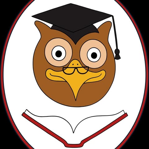 Wise Owl Ministries